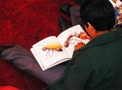 Acerca libro a Rubén Bonifaz Nuño a los niños