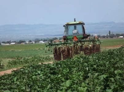 Entregarán apoyos inmediatos a productores de Quintana Roo