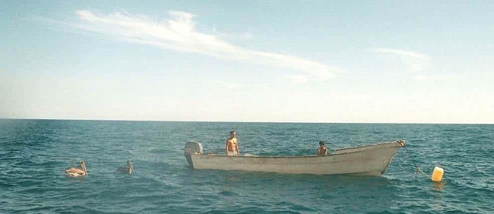 Van tres filmes mexicanos al Festival de Huesca