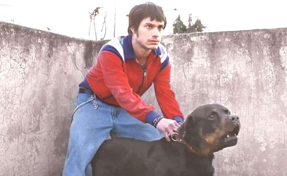 Celebran a ‘Amores perros’ Celebran a ‘Amores perros’