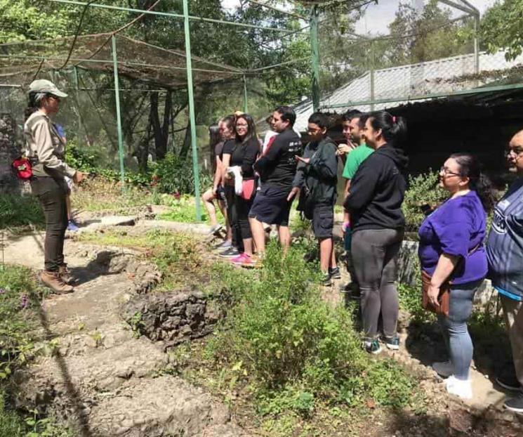 Acceso a Chipinque será con membresía y boletos Acceso a Chipinque será con membresía y boletos