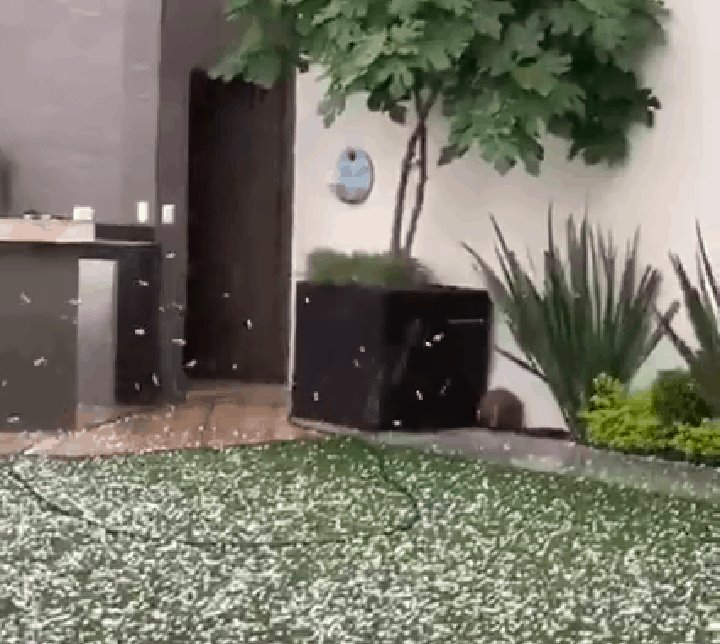 Sorprende granizada a regios Sorprende granizada a regios
