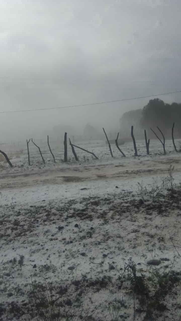 Causa estragos granizada en Galeana