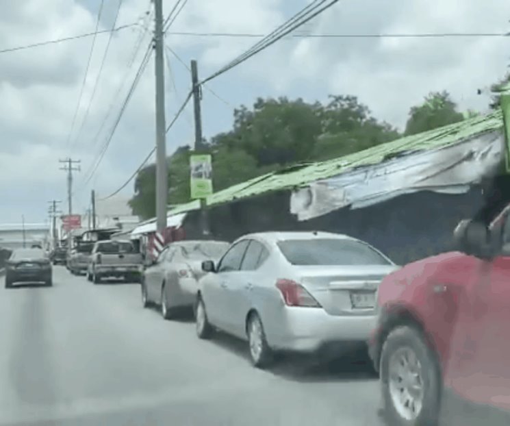 Se incrementa cantidad en la zona de Los Cavazos Se incrementa cantidad en la zona de Los Cavazos