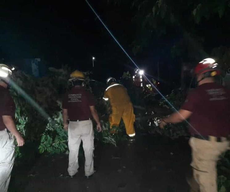 Causa tormenta estragos en zona citrícola Causa tormenta estragos en zona citrícola