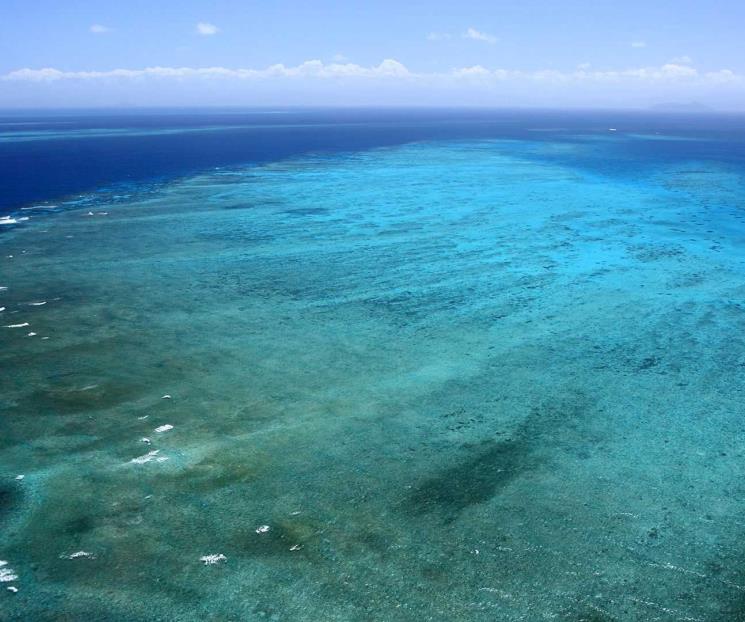 Banco Chinchorro: así es el atolón más grande de México Banco Chinchorro: así es el atolón más grande de México
