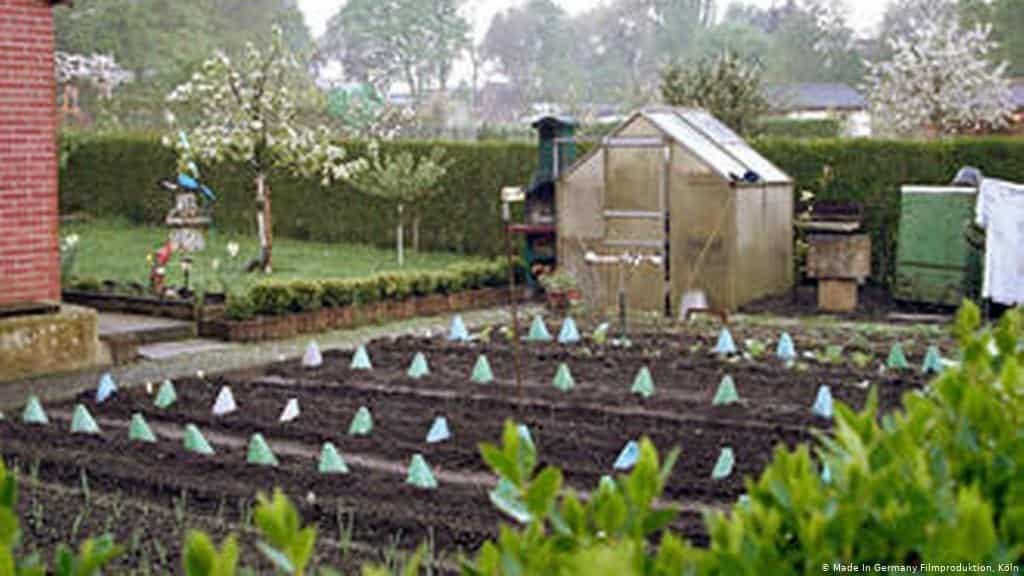 La moda de la jardinería por la pandemia