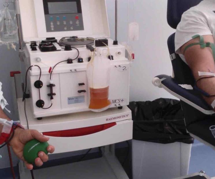 Aclaran que no todos los recuperados pueden donar plasma Aclaran que no todos los recuperados pueden donar plasma