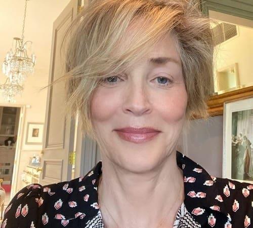 Sharon Stone sorprende a sus fans con nuevo cambió de look