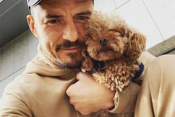 Orlando Bloom, devastado por perder a su perro