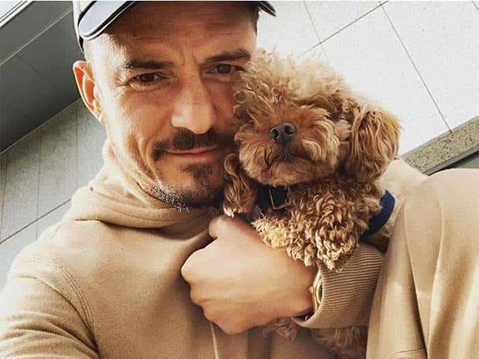 Orlando Bloom, devastado por perder a su perro