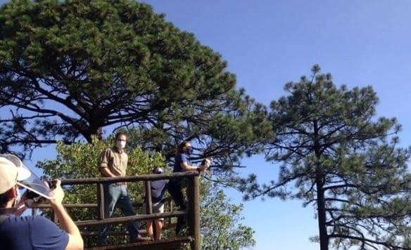 Liberan aves silvestres en Parque Ecológico Chipinque Liberan aves silvestres en Parque Ecológico Chipinque