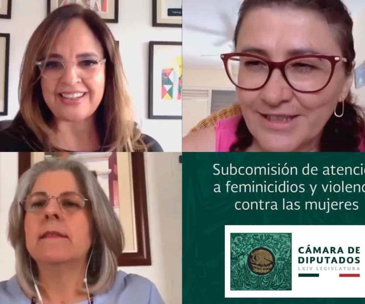 Pin Parental viola derechos de niñas, niños y adolecentes