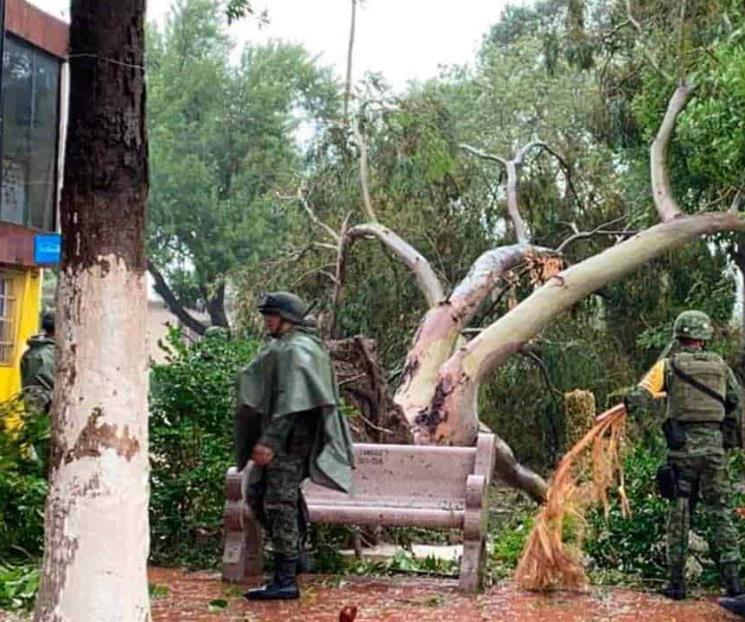 Activan Plan DNIII en Reynosa tras el paso del huracán Hanna