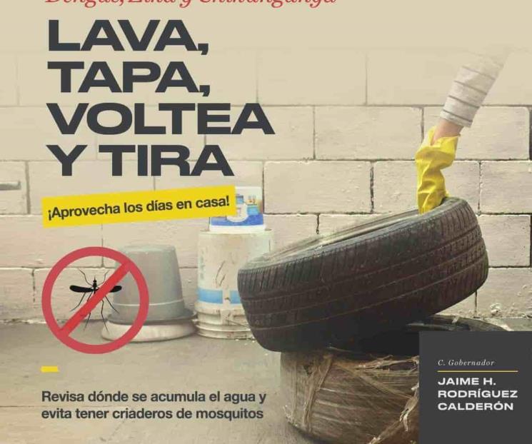 Hacen llamado para prevenir propagación del dengue
