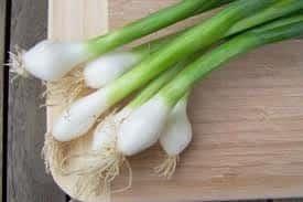 Qué es el cebollín. Propiedades, usos y beneficios a salud