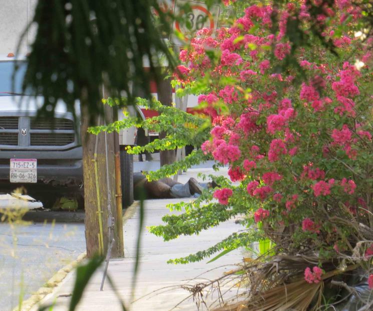 Mueren 2 vecinos electrocutados