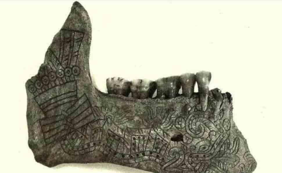 Estudian uso ritual de mandíbulas y maxilares en Mesoamérica