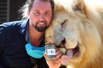 Felinos ayudan a  a circo alemán a capear crisis