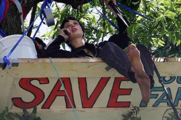 Pasa activista 738 días en un árbol para salvarlo