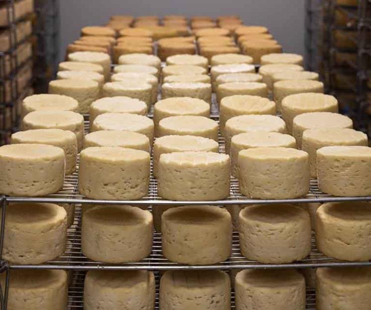 En 2021 no habrá quesos tipo manchego, gouda o parmesano