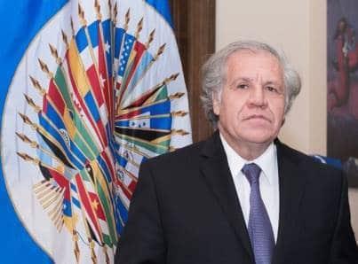 Liderazgo de la CIDH desata pugna en la OEA Liderazgo de la CIDH desata pugna en la OEA