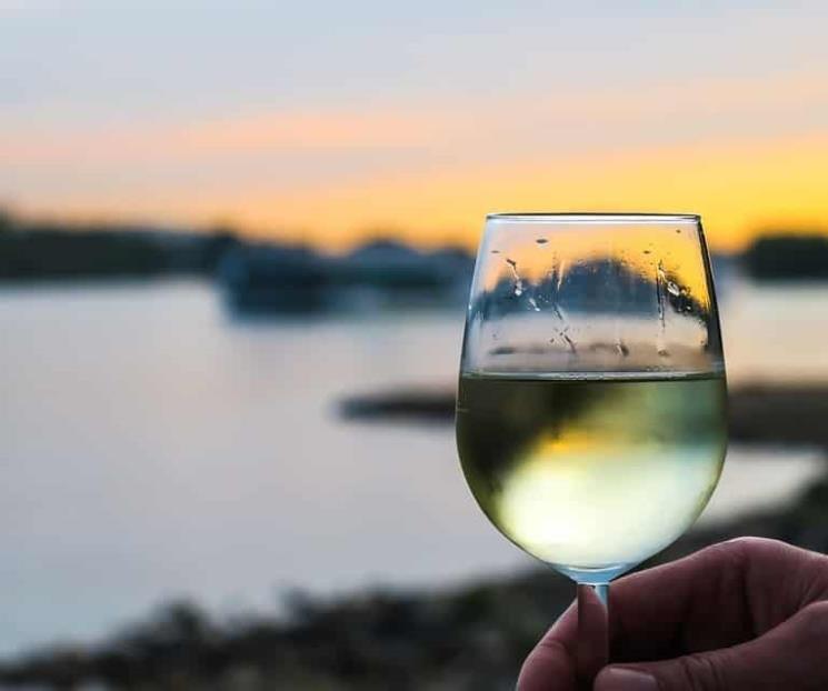 Por qué es bueno tomar una copa de vino en la noche Por qué es bueno tomar una copa de vino en la noche