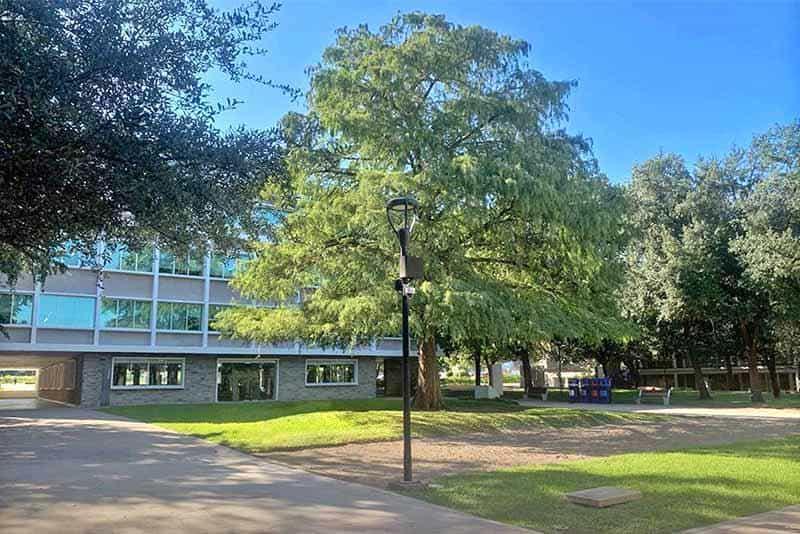 Continúa Tec con su remodelación