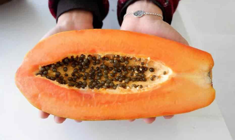 Mascarilla de papaya, mejora tu rostro y pelo Mascarilla de papaya, mejora tu rostro y pelo