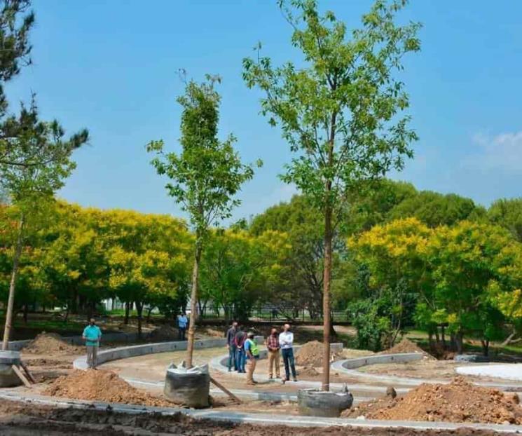 Amplía San Pedro reforestación en zonas urbanas Amplía San Pedro reforestación en zonas urbanas