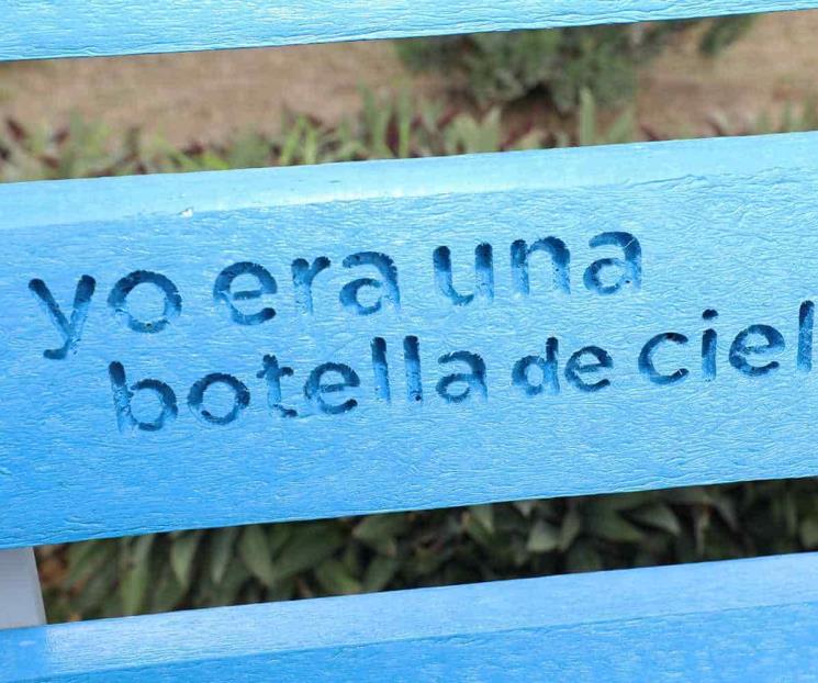 Tendrán parques regios bancas recicladas Tendrán parques regios bancas recicladas