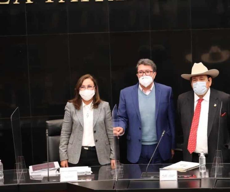 Hay un exceso de gasolinas, dice Rocío Nahle