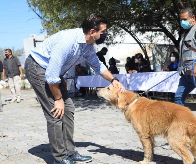 Sigue programa “Bienestar 100PRE por los Animales” Sigue programa “Bienestar 100PRE por los Animales”
