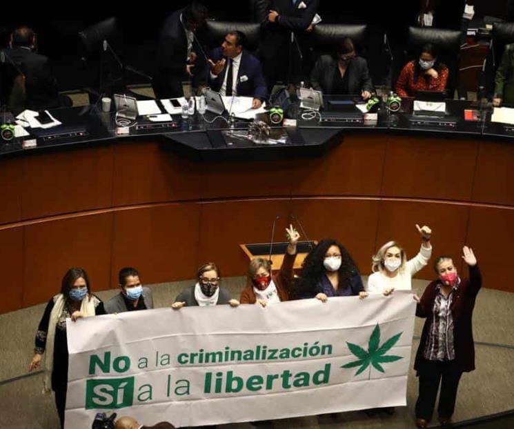 Aprueba Senado despenalizar consumo de mariguana