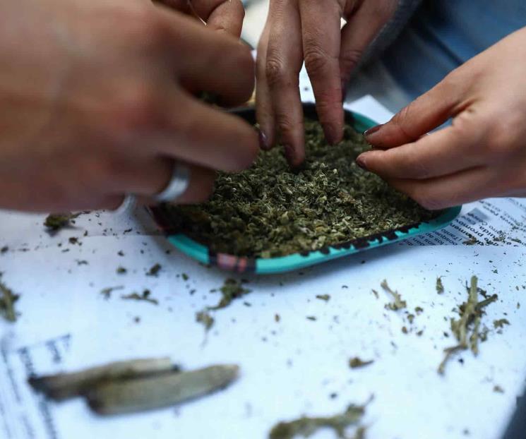 Mantienen criminalización de mariguana, dice Fox Mantienen criminalización de mariguana, dice Fox