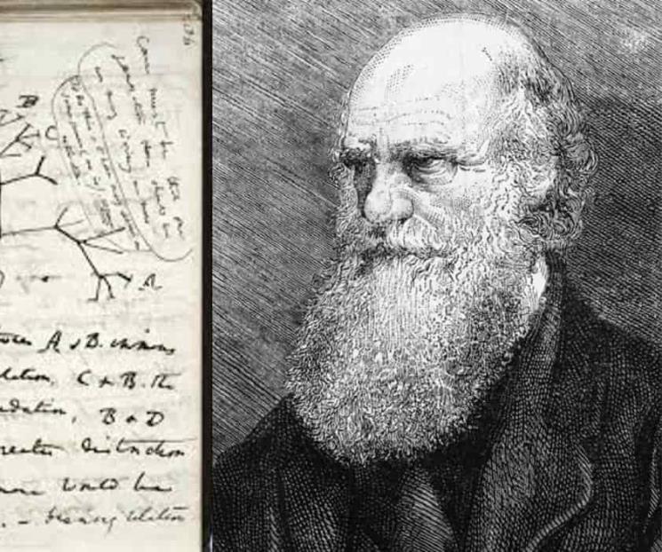 Denuncian robo de dos cuadernos de Darwin Denuncian robo de dos cuadernos de Darwin
