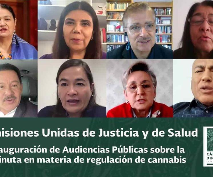 Discusión sobre cannabis aportará marco regulatorio integal Discusión sobre cannabis aportará marco regulatorio integal