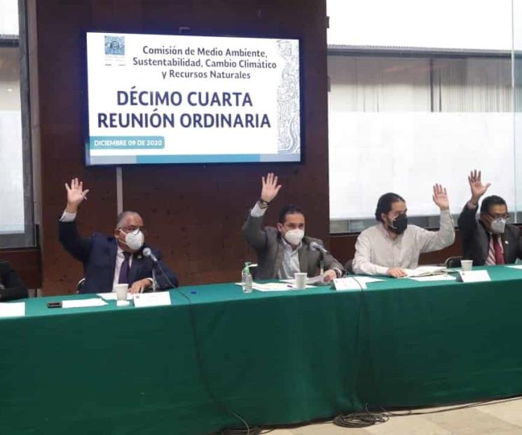 Aprueba Comisión de Medio Ambiente cuatro puntos de acuerdo Aprueba Comisión de Medio Ambiente cuatro puntos de acuerdo