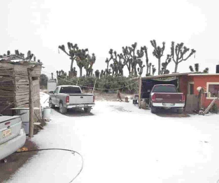 Registran primera nevada de la temporada