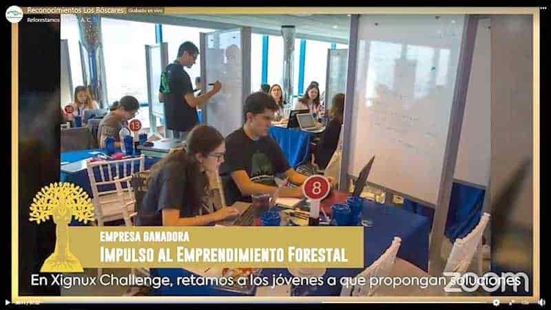 Reconocen al Tec por fomentar la cultura sustentable Reconocen al Tec por fomentar la cultura sustentable