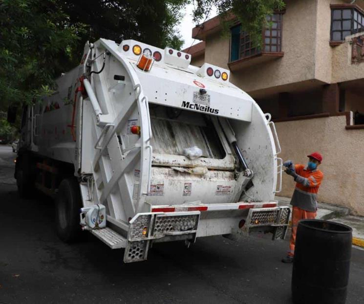 Invitan a dar trato ecológico a pinos navideños