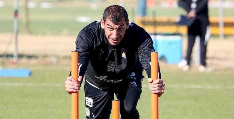 Completa Nahuel el plantel felino Completa Nahuel el plantel felino