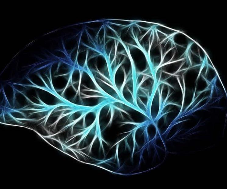 Revelan impacto de la primera experiencia sexual en cerebro