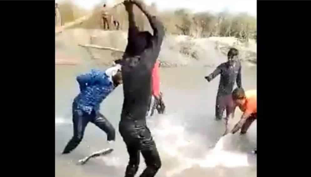 Captan en video a sujetos que golpearon a delfín en India Captan en video a sujetos que golpearon a delfín en India