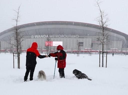 Se suspende el Athletic ante Atlético de Madrid por la nieve Se suspende el Athletic ante Atlético de Madrid por la nieve