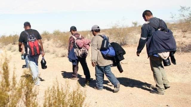 Pandemia no frena a migrantes: llegan hasta 60 al día Pandemia no frena a migrantes: llegan hasta 60 al día