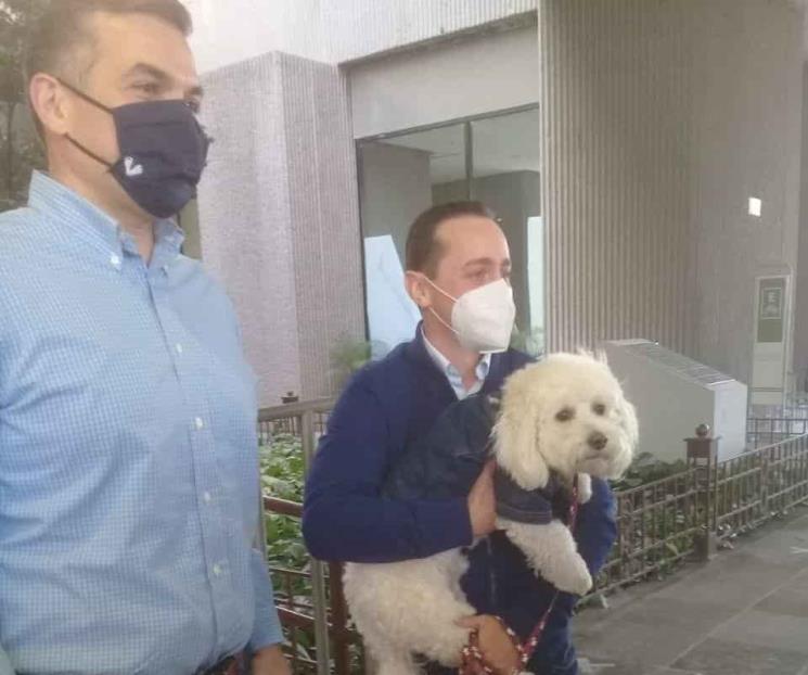 Promueve AN protección de mascotas Promueve AN protección de mascotas