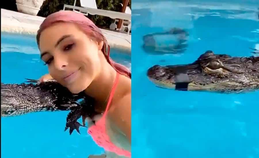 Lele Pons es acusada de maltrato animal por un video