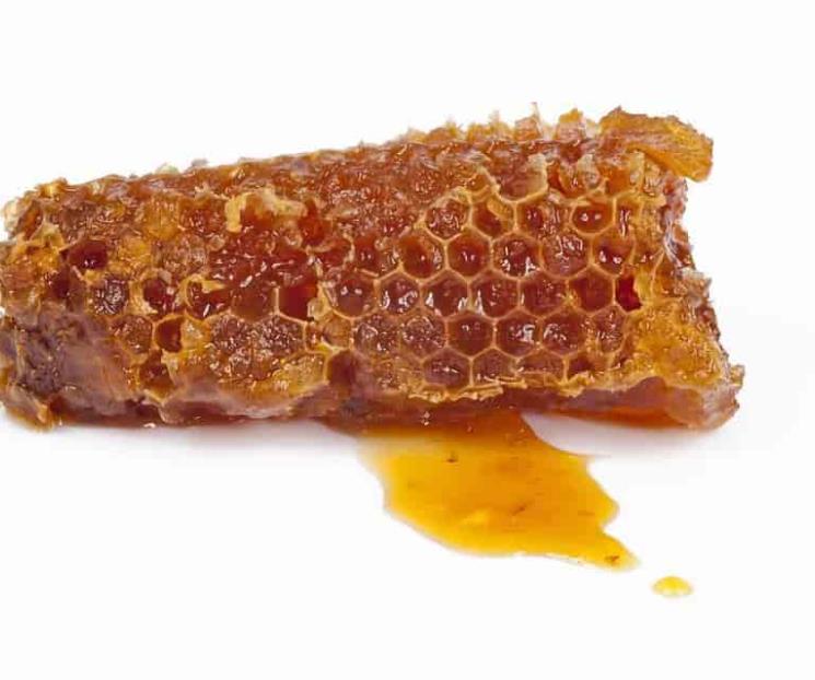 Todo lo que debes de saber acerca del propóleo