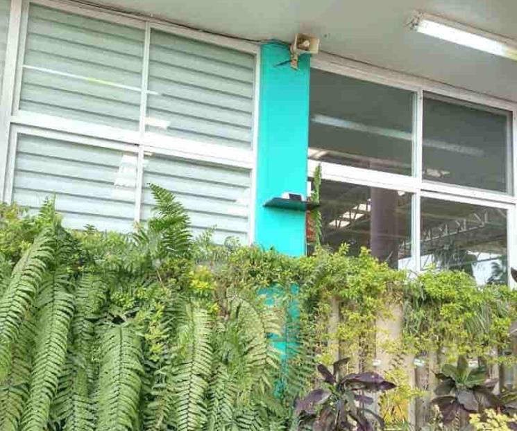 Impulsarán ‘Aires Nuevos’ para niños